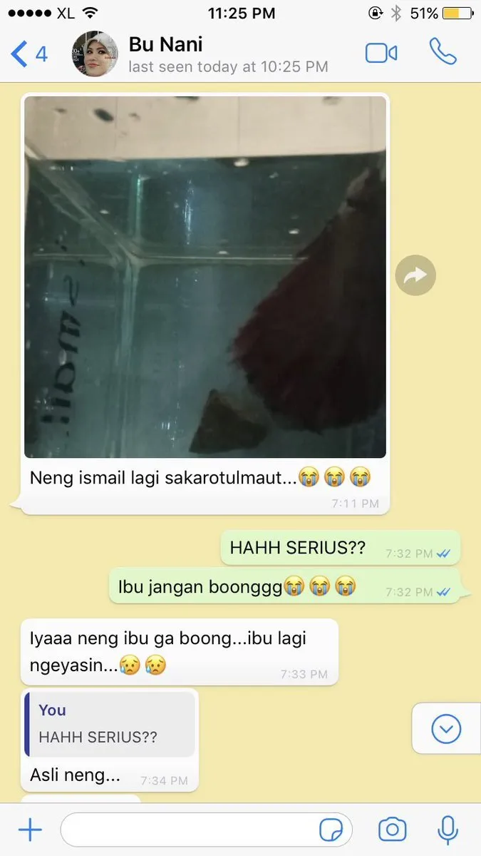 Kabarkan Cupang yang Sekarat, Chat Ibu Kos dan Cewek ini Bukti Level Akrab Mereka Super Mantul! 4