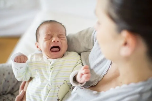 Brilian, Dosen IPB Ini Ciptakan Aplikasi untuk Terjemahkan Tangisan Bayi. Mama Papa Kini Tak Perlu Panik Lagi~ 8