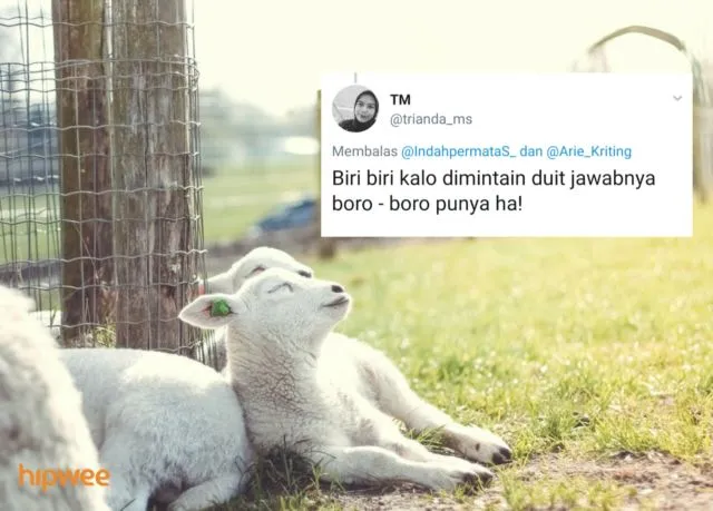 Begini Jadinya Kalau para Binatang ini Dinamai Sesuai dengan Keadaan dan Situasi. Malah Kocak sih! 18
