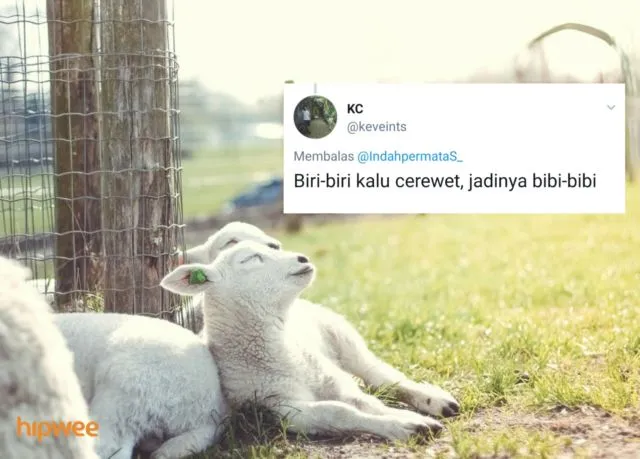 Begini Jadinya Kalau para Binatang ini Dinamai Sesuai dengan Keadaan dan Situasi. Malah Kocak sih! 19