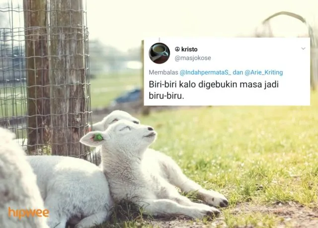 Begini Jadinya Kalau para Binatang ini Dinamai Sesuai dengan Keadaan dan Situasi. Malah Kocak sih! 20