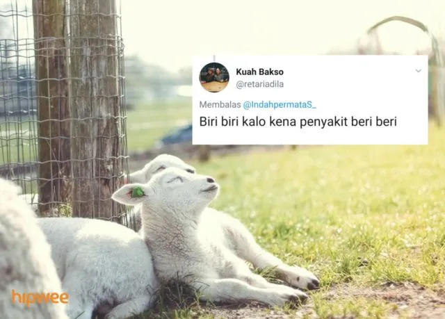 Begini Jadinya Kalau para Binatang ini Dinamai Sesuai dengan Keadaan dan Situasi. Malah Kocak sih! 17