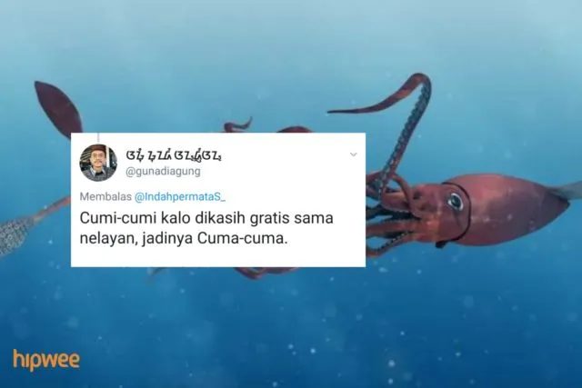 Begini Jadinya Kalau para Binatang ini Dinamai Sesuai dengan Keadaan dan Situasi. Malah Kocak sih! 22