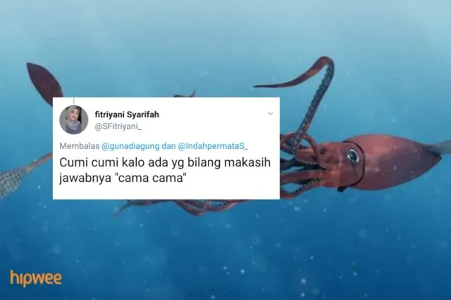 Begini Jadinya Kalau para Binatang ini Dinamai Sesuai dengan Keadaan dan Situasi. Malah Kocak sih! 21