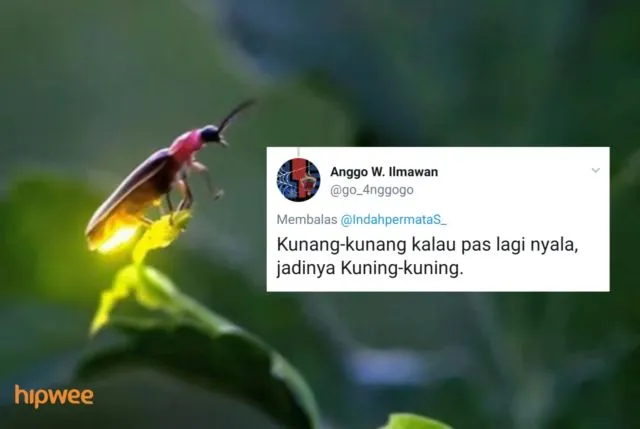 Begini Jadinya Kalau para Binatang ini Dinamai Sesuai dengan Keadaan dan Situasi. Malah Kocak sih! 29