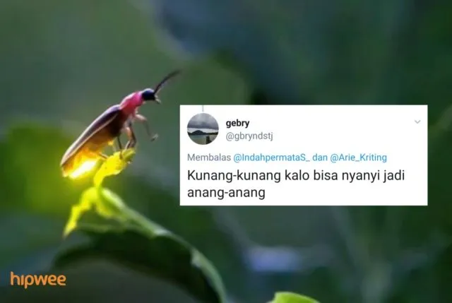 Begini Jadinya Kalau para Binatang ini Dinamai Sesuai dengan Keadaan dan Situasi. Malah Kocak sih! 30