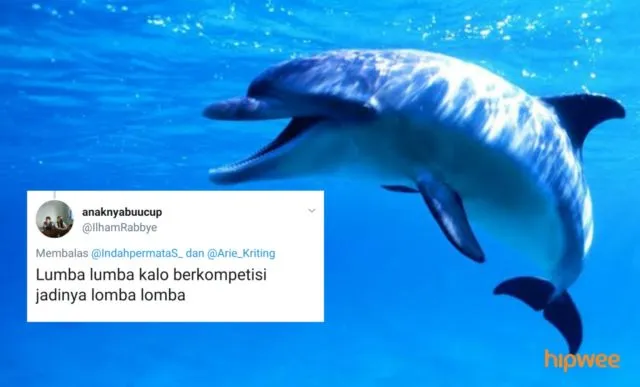 Begini Jadinya Kalau para Binatang ini Dinamai Sesuai dengan Keadaan dan Situasi. Malah Kocak sih! 26