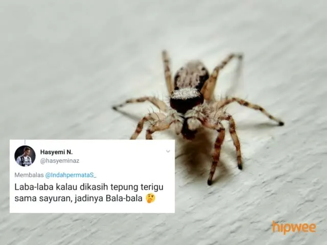 Begini Jadinya Kalau para Binatang ini Dinamai Sesuai dengan Keadaan dan Situasi. Malah Kocak sih! 25