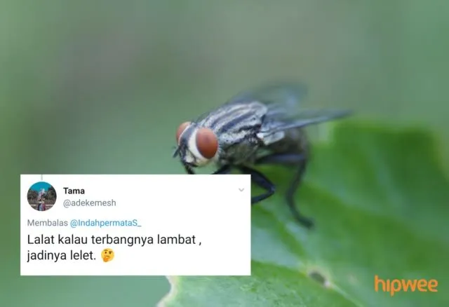 Begini Jadinya Kalau para Binatang ini Dinamai Sesuai dengan Keadaan dan Situasi. Malah Kocak sih! 23