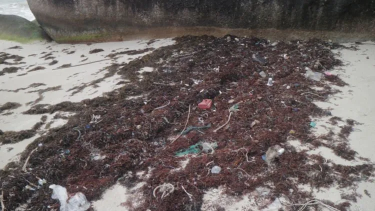 Banyak Sampah Berserakan di Pantai Tanjung Tinggi. Negeri Laskar Pelangi Kok Jadi Kotor Begini? 9