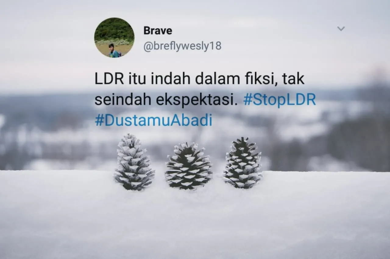 16 Pejuang LDR Luapkan Kekesalan Soal Cinta Jarak Jauh. Tagar #StopLDR Jadi Puncak Kemuakannya 21