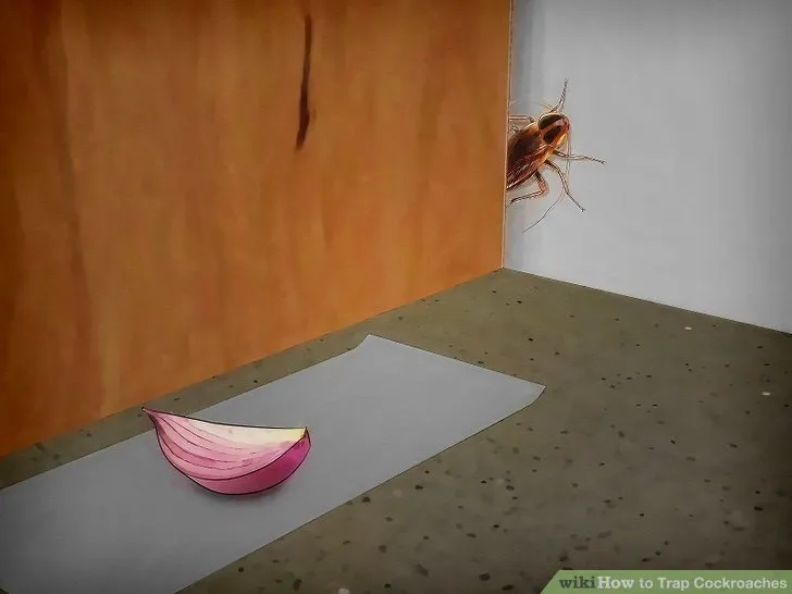 Tetangga Kamar Kost Super Jorok dan Jadi Sarang Kecoa, Curhatan Penghuni Lain Bikin Kita Ikut Gemes! 6