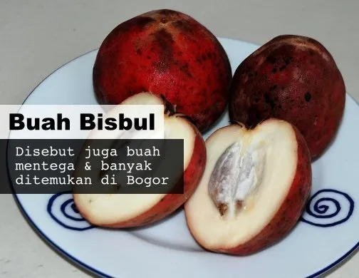 8 Buah Asli Indonesia yang Namanya Masih Jarang Dikenal. Padahal Enak Banget, Ada yang Pernah Coba? 10