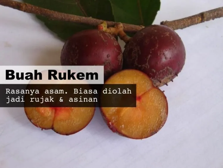 8 Buah Asli Indonesia yang Namanya Masih Jarang Dikenal. Padahal Enak Banget, Ada yang Pernah Coba? 12