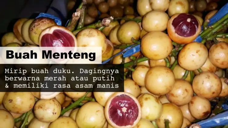 8 Buah Asli Indonesia yang Namanya Masih Jarang Dikenal. Padahal Enak Banget, Ada yang Pernah Coba? 13