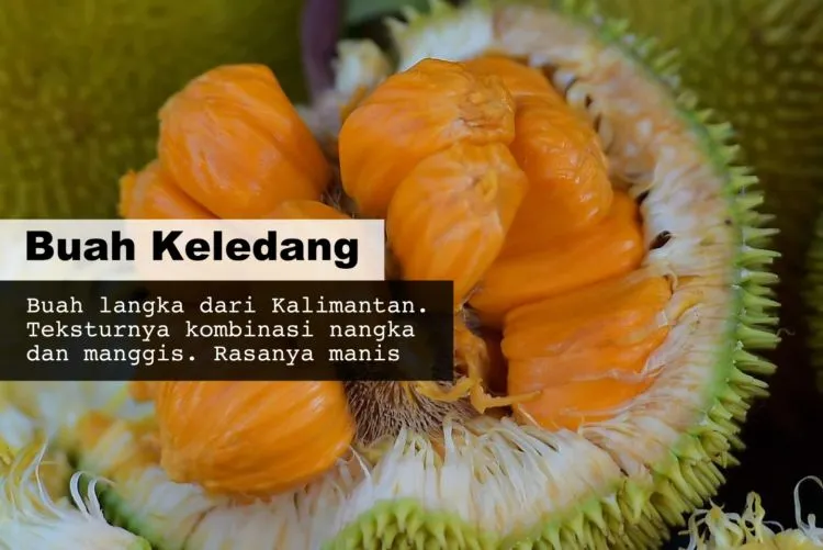 8 Buah Asli Indonesia yang Namanya Masih Jarang Dikenal. Padahal Enak Banget, Ada yang Pernah Coba? 15