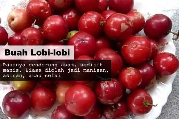 8 Buah Asli Indonesia yang Namanya Masih Jarang Dikenal. Padahal Enak Banget, Ada yang Pernah Coba? 16