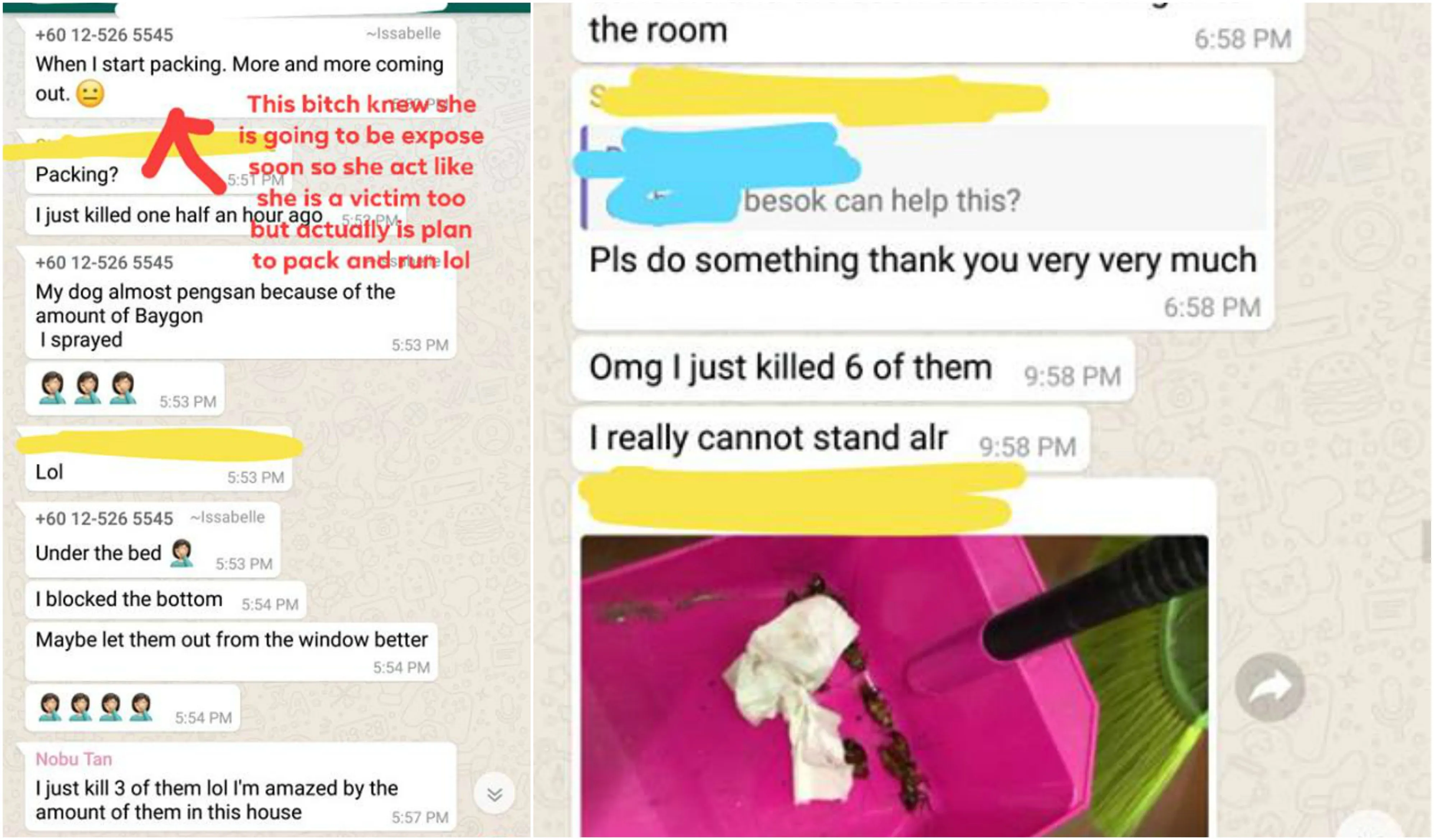 Tetangga Kamar Kost Super Jorok dan Jadi Sarang Kecoa, Curhatan Penghuni Lain Bikin Kita Ikut Gemes! 7