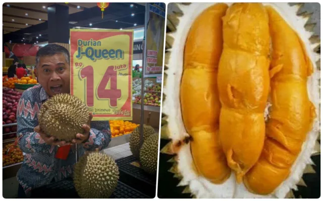 4 Alasan Masuk Akal Kenapa Durian J-Queen Bisa Dihargai Sampai Rp14 Juta. Langsung Laku Juga Lo 5