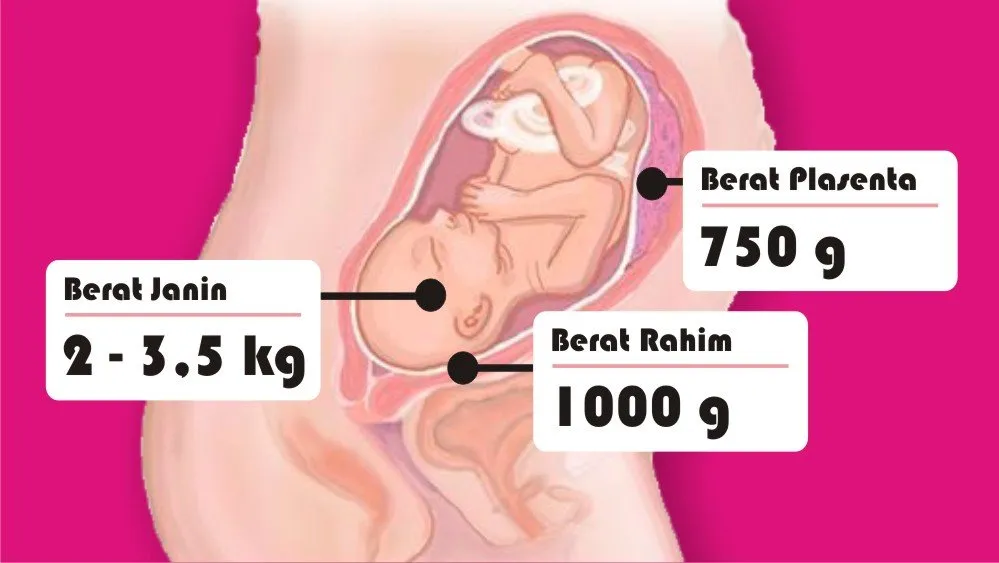 8 Asal Muasal Penambahan Berat Badan Ibu Hamil. Penasaran kan Kenapa Bisa Naik Belasan Kilo?