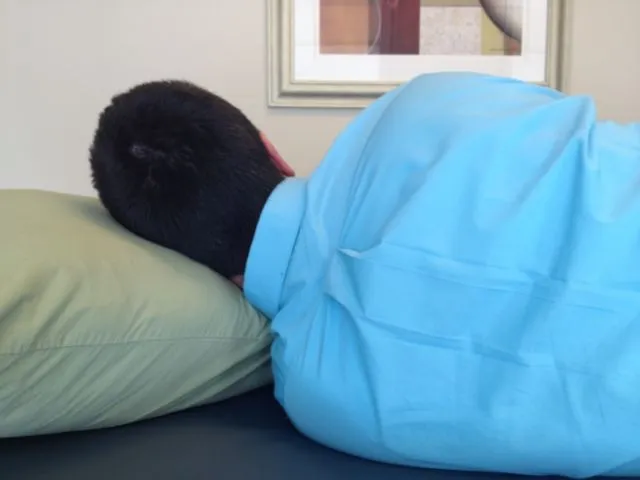4 Penyebab Leher Pegal Karena 'Salah Bantal'. Jangan Melulu Salahkan Bantalnya, Kan Kasihan~ 5