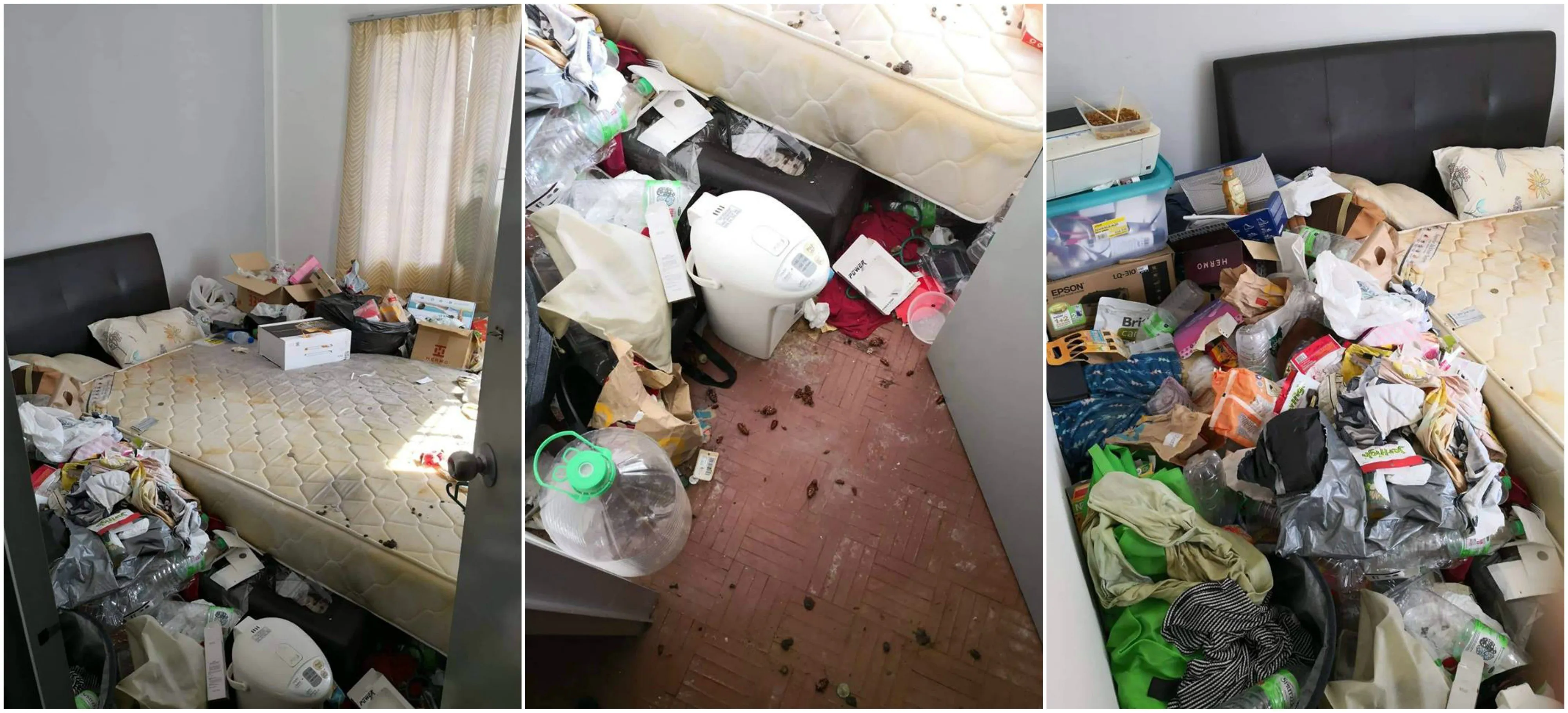 Tetangga Kamar Kost Super Jorok dan Jadi Sarang Kecoa, Curhatan Penghuni Lain Bikin Kita Ikut Gemes! 8