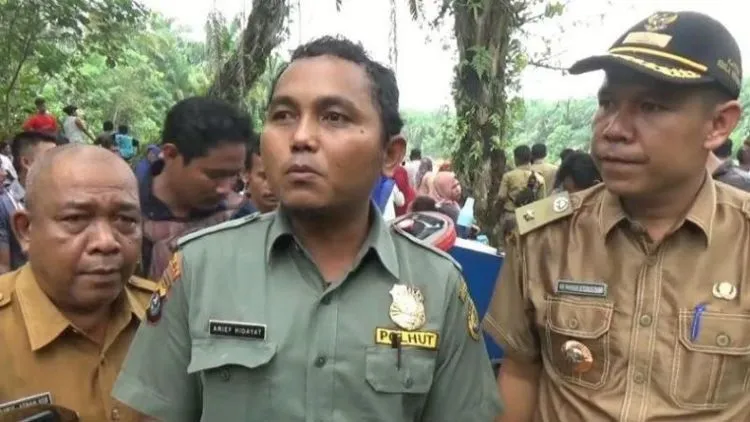 Dua Lumba-lumba Punggung Bungkuk Kesasar di Sungai Kualuh Sumut. Sementara, Diduga Karena Air Pasang 5