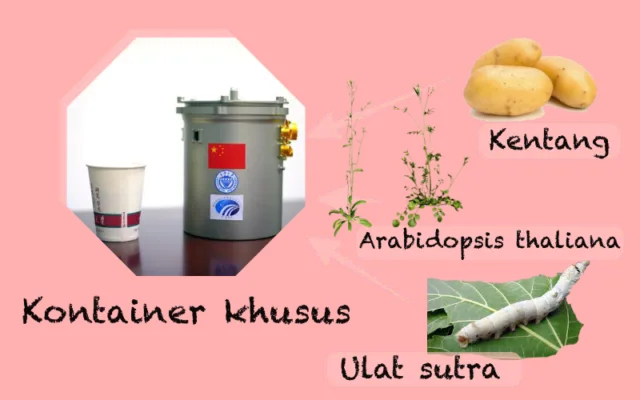 Sukses Mendarat di Sisi Tergelap Bulan, Cina Bawa Tumbuhan dan Hewan dari Bumi. Bisa Hidup Nggak Ya? 7