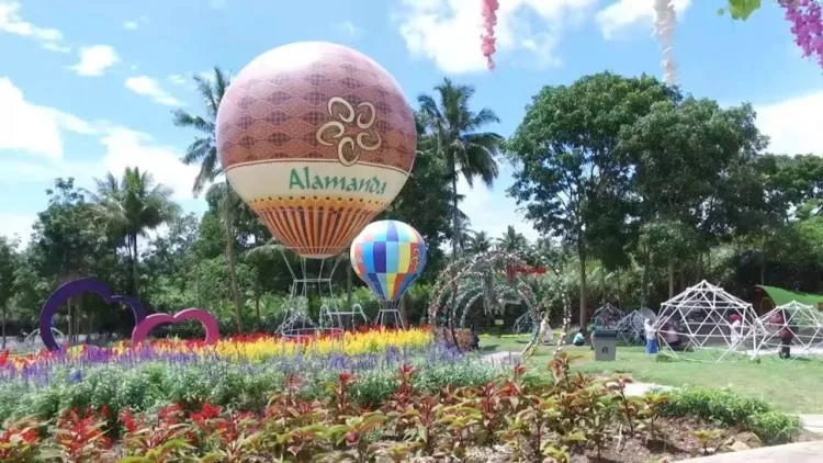 Alamanda Jogja Flower Garden, Destinasi Kekinian yang Harus Kamu Kunjungi di Jogja! 13