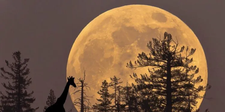 Supermoon Akan Kembali Datang. Tapi BMKG Malah Ingatkan Potensi Pasang Maksimum Air Laut. Hati-hati! 3