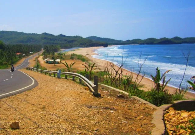 Rekomendasi 9 Pantai yang Hits dan Instagramable di Pacitan. Ada yang Mirip dengan Raja Ampat Lho! 10