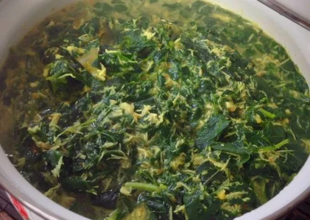 5 Ide Mengolah Daun Kelor Jadi Santapan Lezat di Meja Makan. Jarang Ada Tapi Kaya Gizinya 8