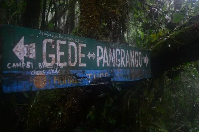 Kisah Misteri Pendakian Gunung Gede Pangrango 5 Kisah Misteri Gunung Gede Pangrango