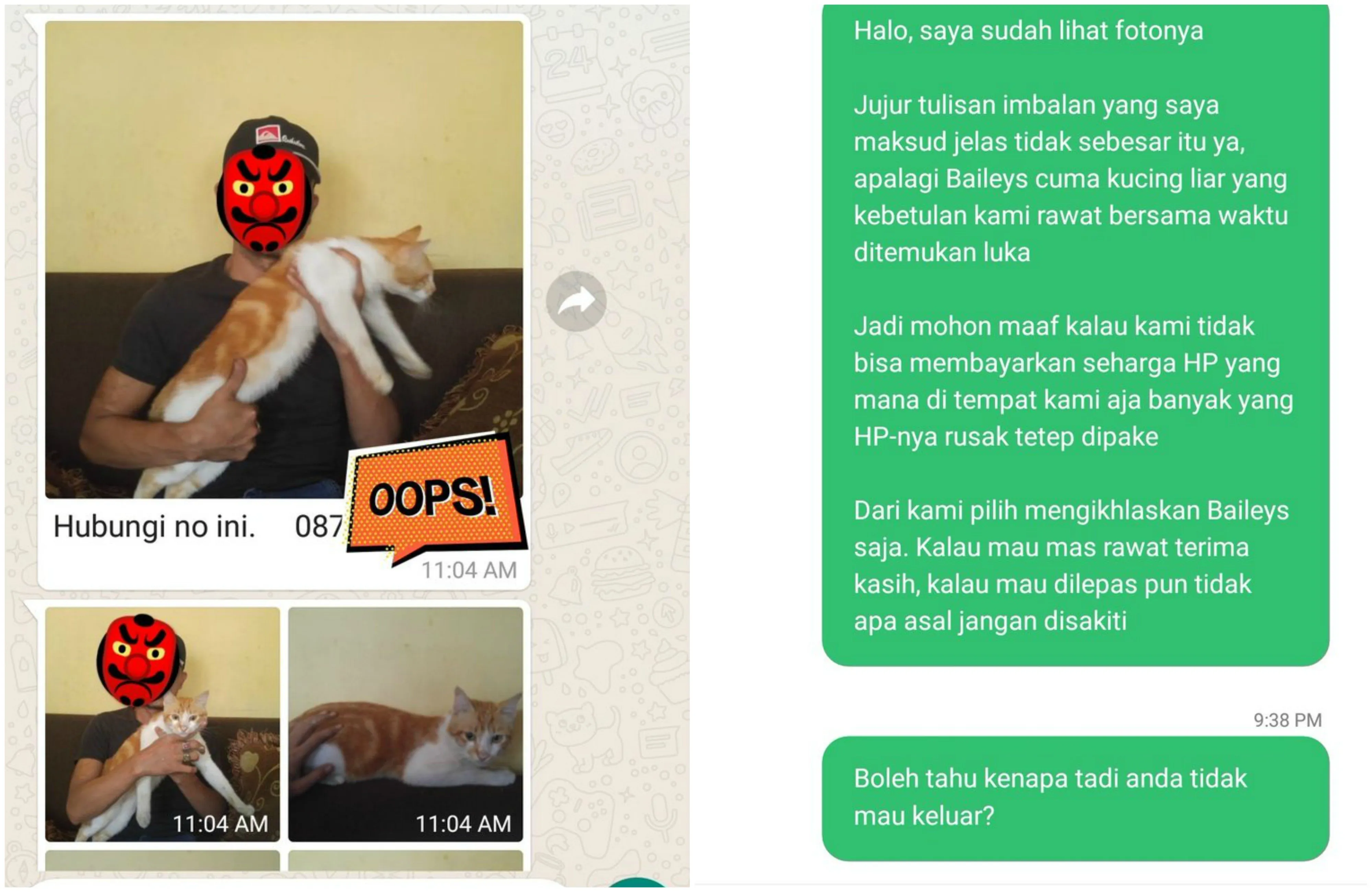 Kucing Kesayangan Hilang, si Penemu Minta Imbalan Berupa Ponsel pada Pemilik. Ini Ikhlas Nggak sih? 7
