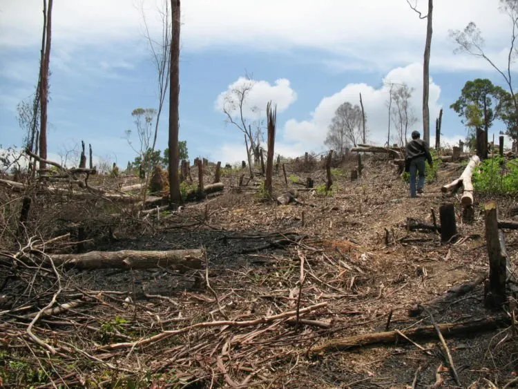 Pak Sutopo Ungkap Prediksi Bencana Tahun 2019. Bencana Hidrometeorologi Katanya Bakal Mendominasi 9