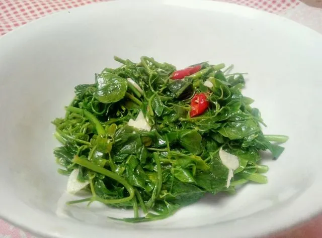 5 Ide Mengolah Daun Kelor Jadi Santapan Lezat di Meja Makan. Jarang Ada Tapi Kaya Gizinya 7
