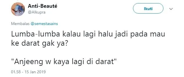 Beredar Video Lumba-lumba Mabuk Karena Ikan Buntal, 14 Tanggapan Warganet ini Selalu Kocak~ 17