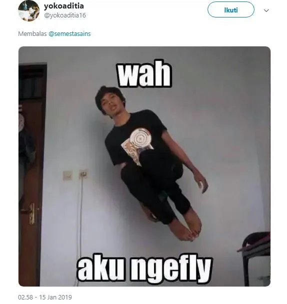 Beredar Video Lumba-lumba Mabuk Karena Ikan Buntal, 14 Tanggapan Warganet ini Selalu Kocak~ 16