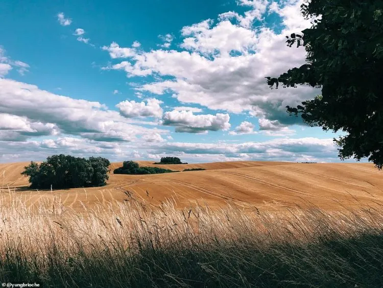 10 Foto Pemenang Kontes Foto #ShotOniPhone. Bukti Kalau Foto Bagus Bisa Pakai Kamera HP Doang! 18