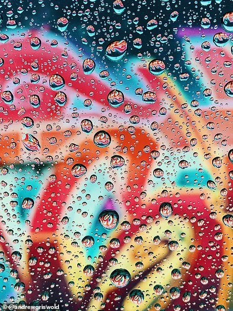 10 Foto Pemenang Kontes Foto #ShotOniPhone. Bukti Kalau Foto Bagus Bisa Pakai Kamera HP Doang! 19