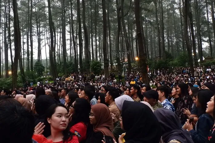 10 Usulan Perbaikan buat Lalala Fest Tahun Depan. Biar Musik, Hutan, dan Penontonnya Tetap Aman 11