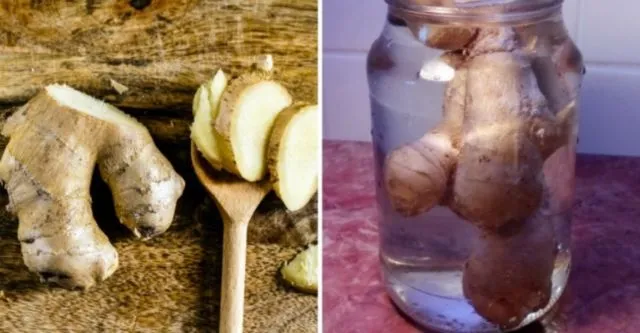 9 Cara Mengawetkan Makanan untuk Cegah Pembusukan Sebelum Masuk Kulkas 14