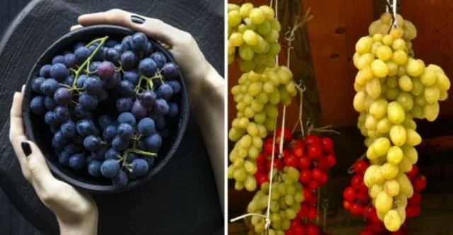 9 Cara Mengawetkan Makanan untuk Cegah Pembusukan Sebelum Masuk Kulkas 13