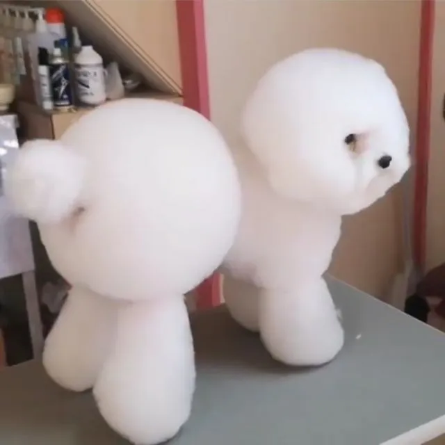 10 Hewan Lucu Berbentuk Bulat ini Lebih Mirip Boneka daripada Binatang deh. Gemes Banget! 20
