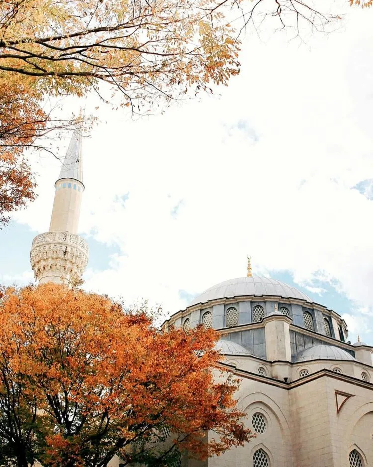 Masjid Camii Tokyo, Tempat Reino dan Syahrini Mengikat Janji Suci. Yuk Intip Masjid Terindah di Jepang Ini! 17