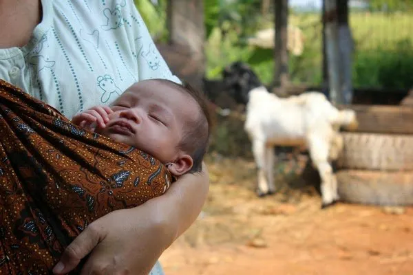 6 Tradisi Adat Jawa untuk Menyambut Bayi yang Baru Lahir. Beberapa di Antaranya Sudah Nggak Populer Lagi 10