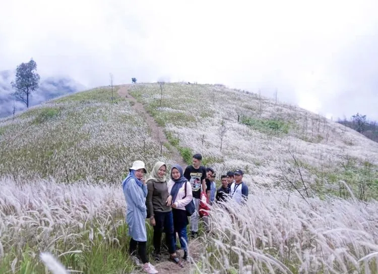 Bukit Mongkrang, Spot Padang Ilalang Hits di Karanganyar. Kerasa Kaya Lagi Foto di Luar Negeri! 8