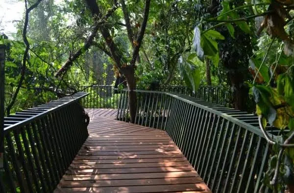 Rekomendasi 7 Tempat Menangis Terbaik di Bandung. Cocok buat Segala Jenis Air Mata Kesedihan~ 13