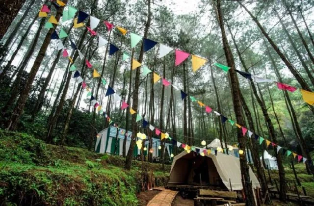 Glamping Hutan Pinus Purworejo Sudah Dibuka. Rasakan Kenikmatan Camping yang Naik Levelnya! 7