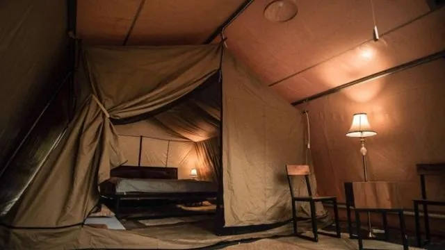 Glamping Hutan Pinus Purworejo Sudah Dibuka. Rasakan Kenikmatan Camping yang Naik Levelnya! 9